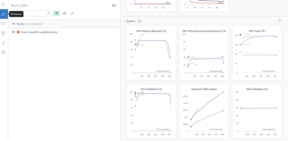 Wandb System Info